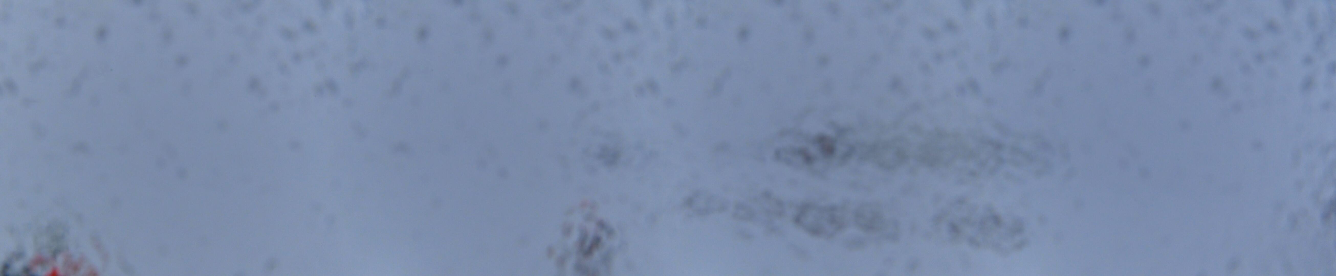 Grand domaine - Webcam Glacier